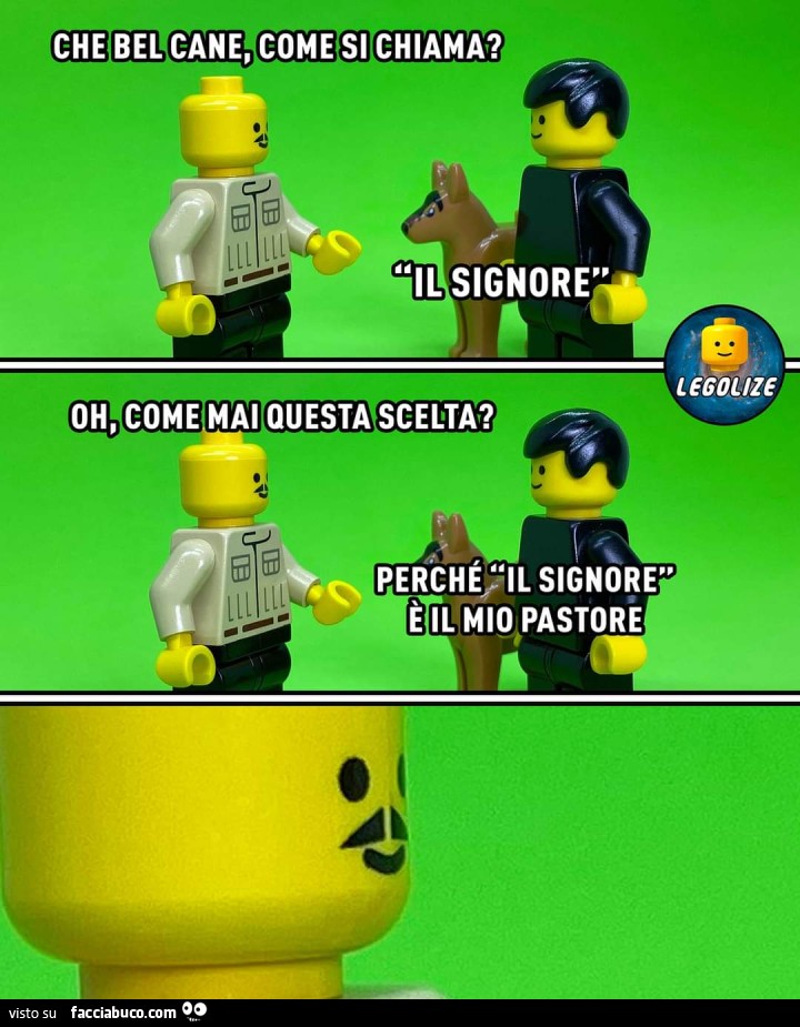 Che bel cane come si chiama? Il signore. Oh, come mai questa scelta? Perché il signore è il mio pastore