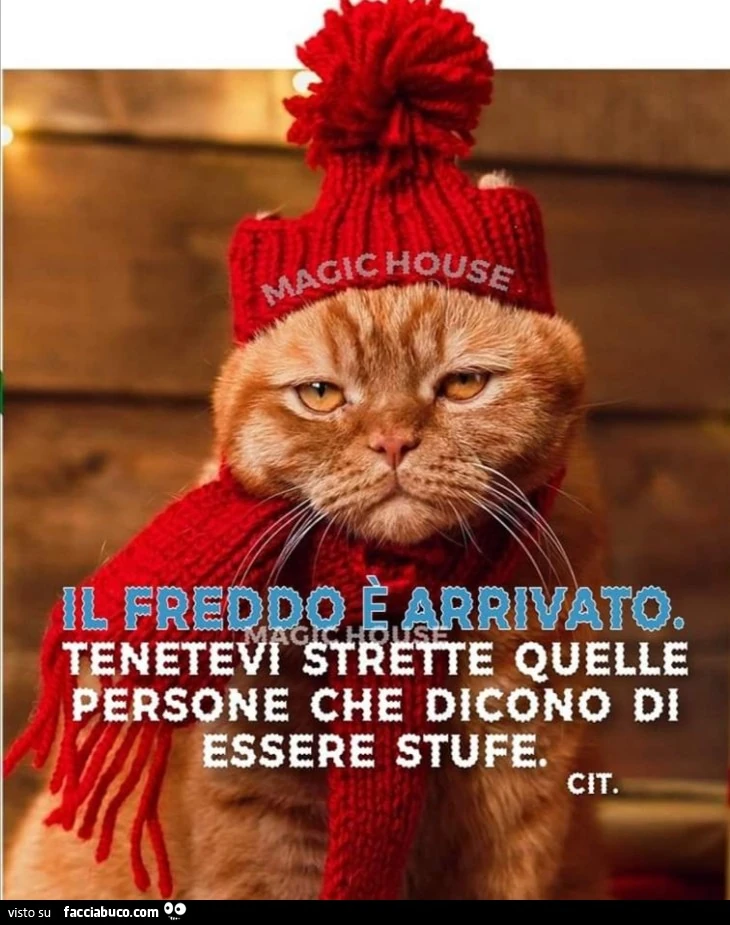 Il freddo sta arrivando, tenetevi strette quelle persone che dicono di essere stufe