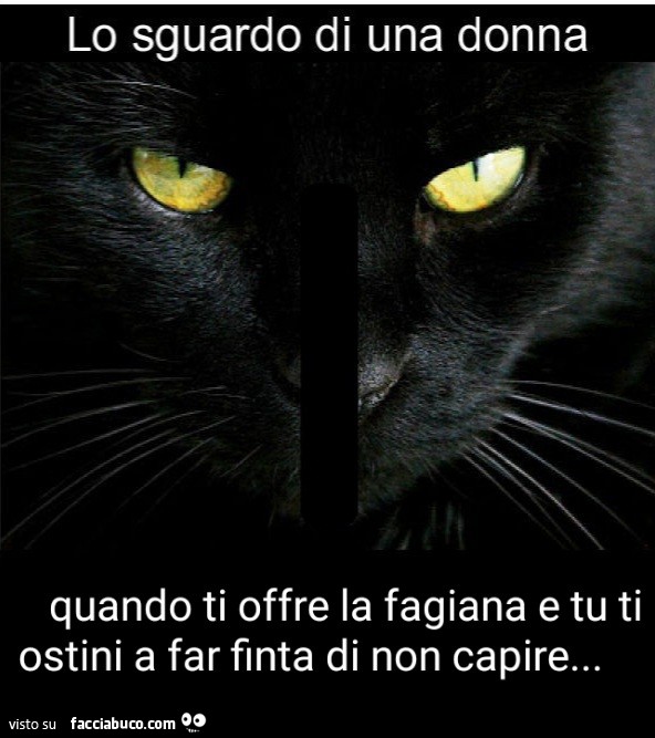 Lo sguardo di una donna quando ti offre la fagiana e tu ti ostini a far finta di non capire&hellip;