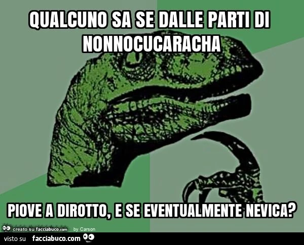 Qualcuno sa se dalle parti di nonnocucaracha piove a dirotto, e se eventualmente nevica?