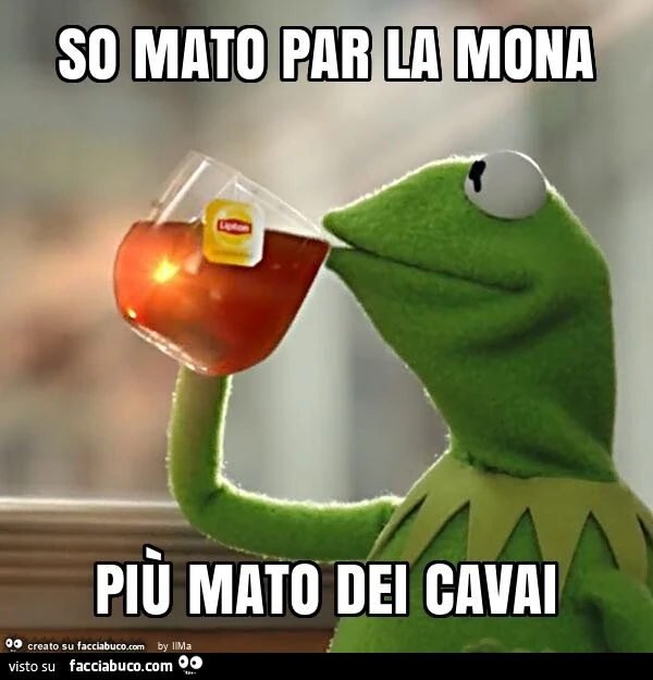So mato par la mona più mato dei cavai