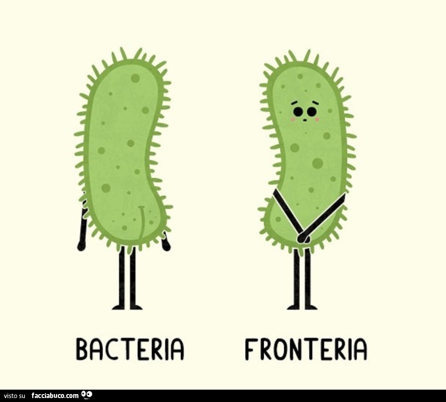 Bacteria fronteria