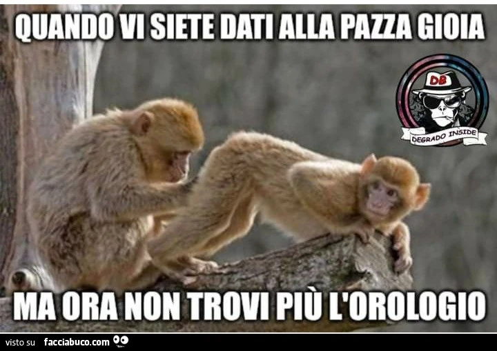 Quando vi siete dati alla pazza gioia ma ora non trovi più l'orologio