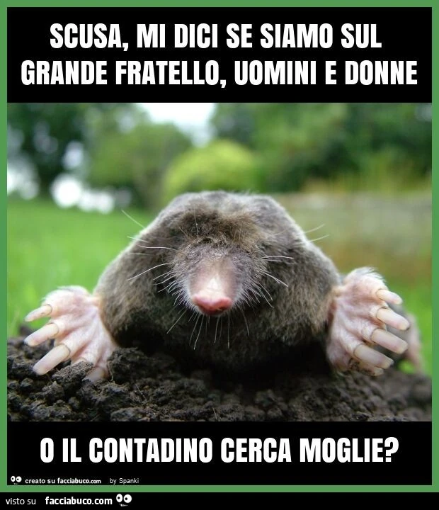 Scusa, mi dici se siamo sul grande fratello, uomini e donne o il contadino cerca moglie?