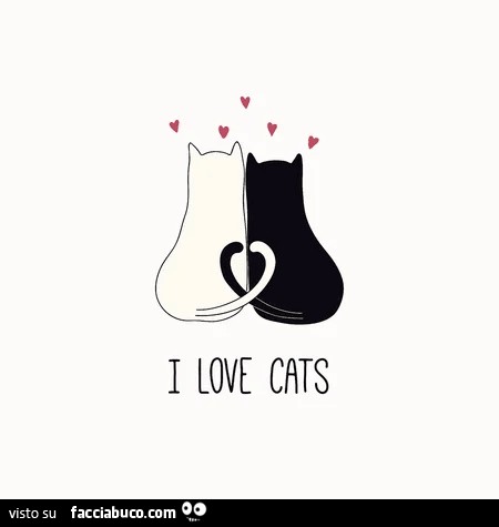 I love cats