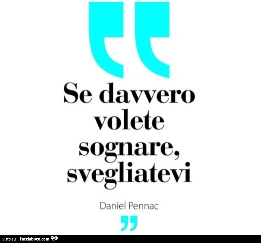 Se davvero volete sognare, svegliatevi. Daniel Pennac