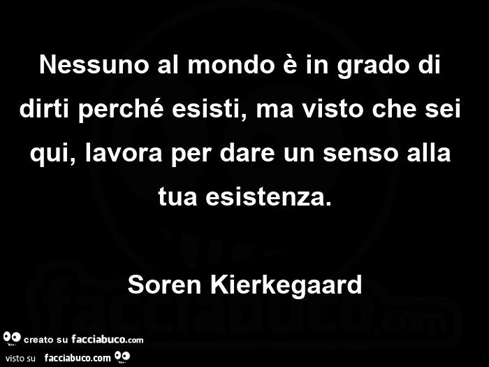 Nessuno al mondo è in grado di dirti perché esisti, ma visto che sei qui, lavora per dare un senso alla tua esistenza. Soren kierkegaard