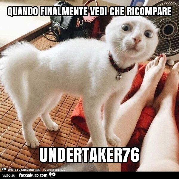 Quando finalmente vedi che ricompare undertaker76