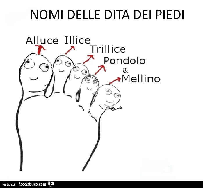 Nomi delle dita dei piedi alluce illice trillice pondolo e mellino