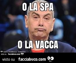 Vaccata