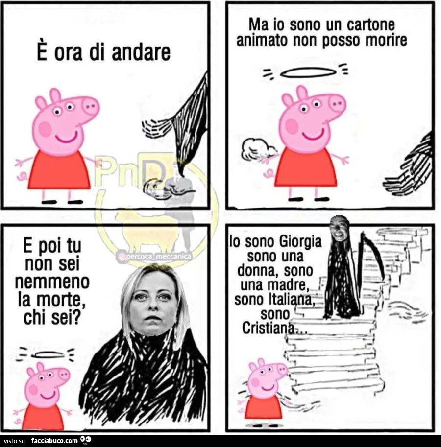 Vaccata