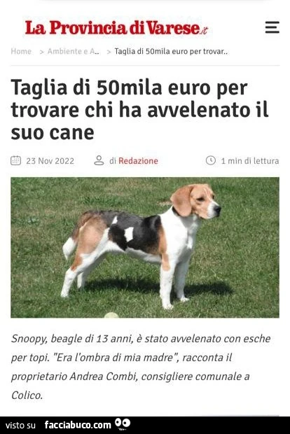 Vaccata