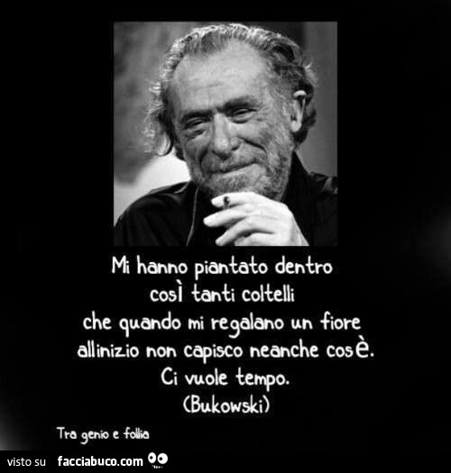 Mi hanno piantato dentro così tanti coltelli che quando mi regalano un fiore all'inizio non capisco neanche cos è. Ci vuole tempo