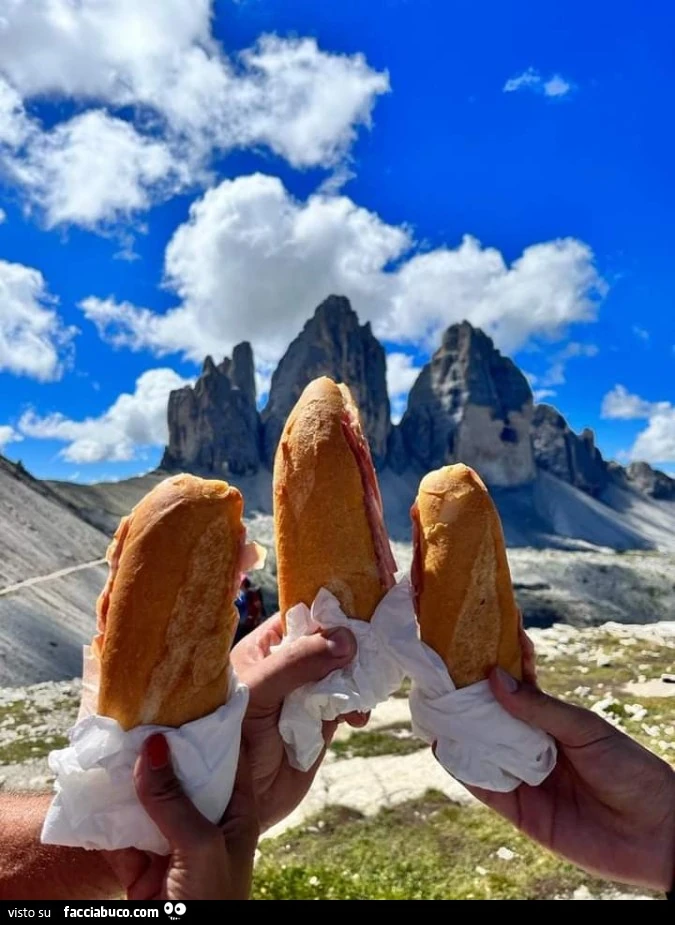 Vaccata