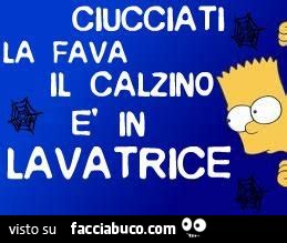 Ciucciati la fava il calzino è lavatrice