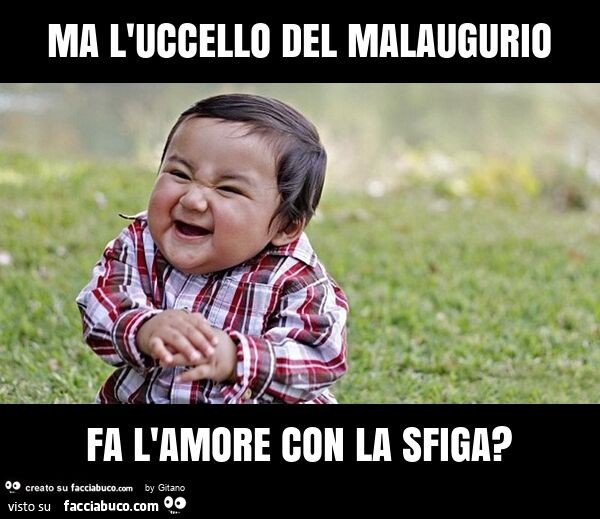 Ma l'uccello del malaugurio fa l'amore con la sfiga?