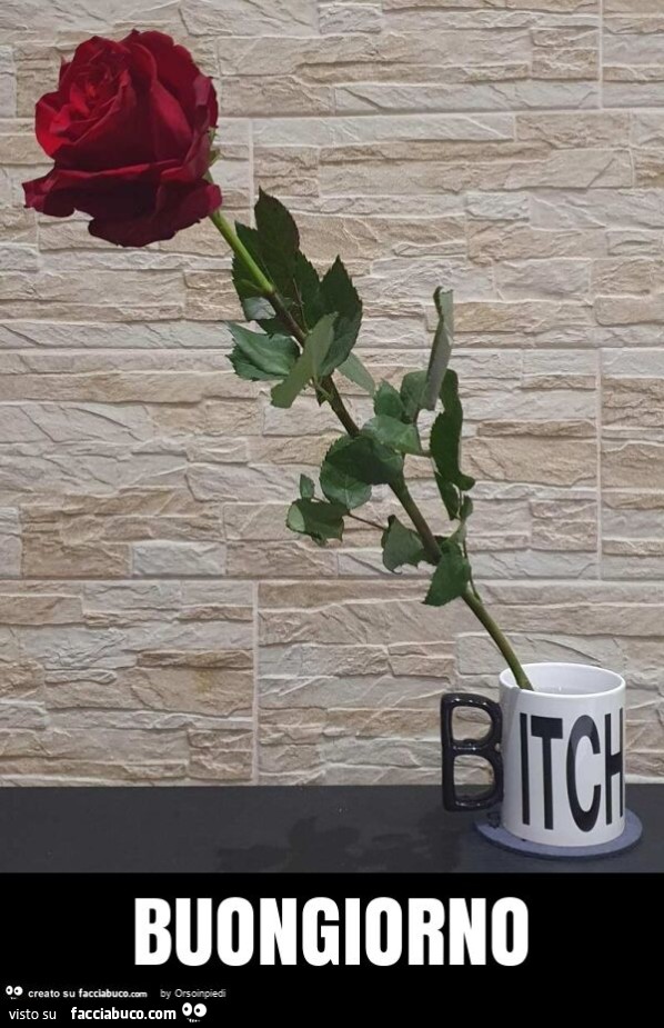Buongiorno