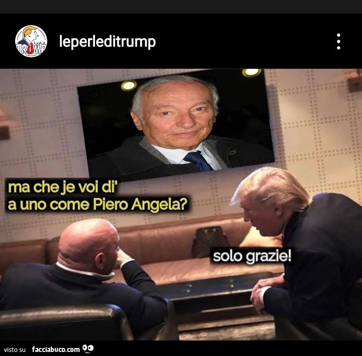 Patrimonio Falsato, A Trump Una Cauzione Ridotta - Foto 9