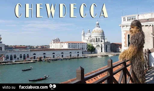 Chewdecca