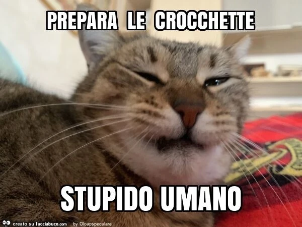 Prepara le crocchette stupido umano