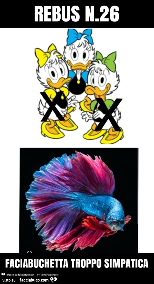 Rebus n. 26 faciabuchetta troppo simpatica