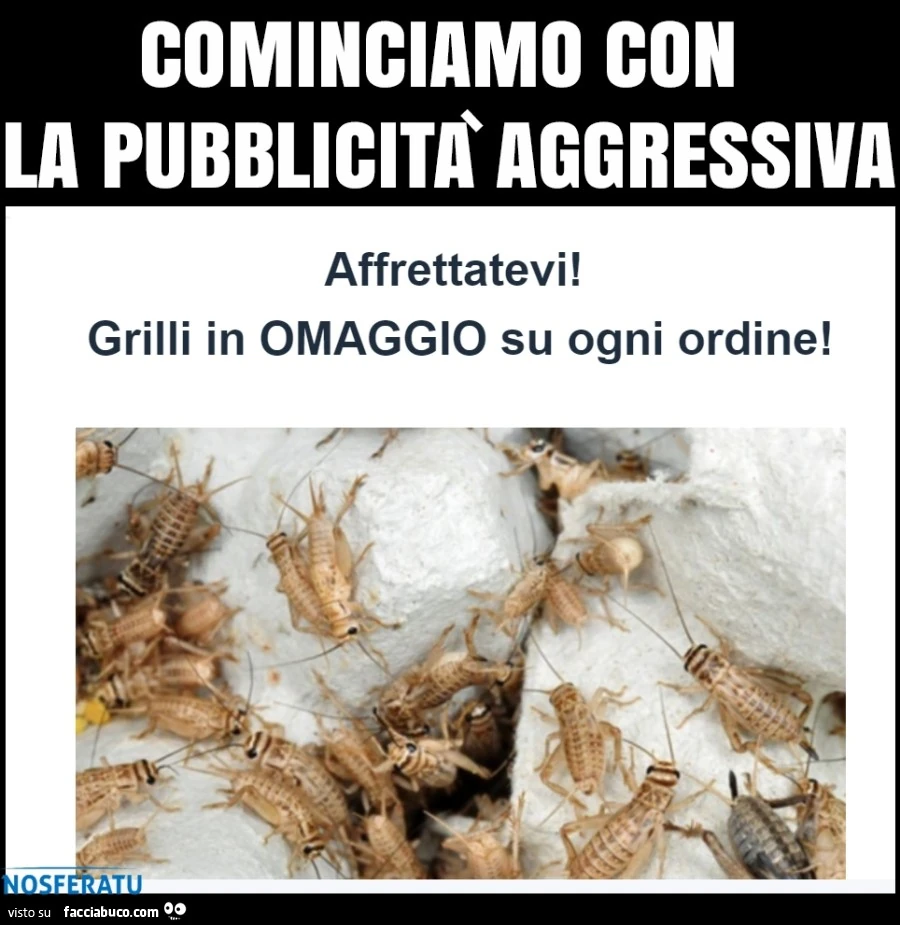 Comincia la pubblicità per comprare i grilli
