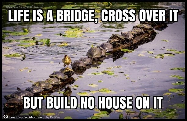 Life is a bridge, cross over it but build no house on it