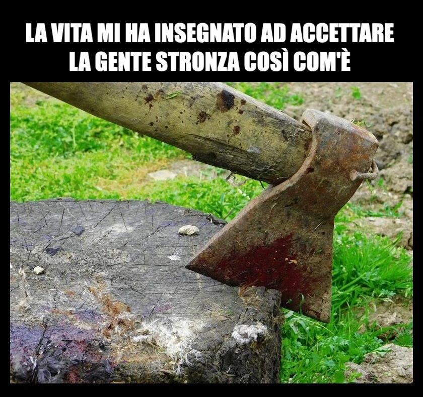 Vaccata