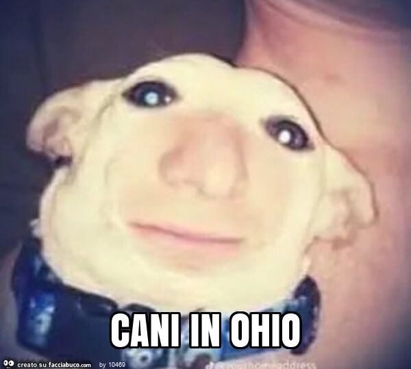 Cani in ohio