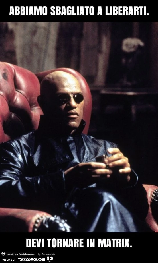 Abbiamo sbagliato a liberarti. Devi tornare in matrix