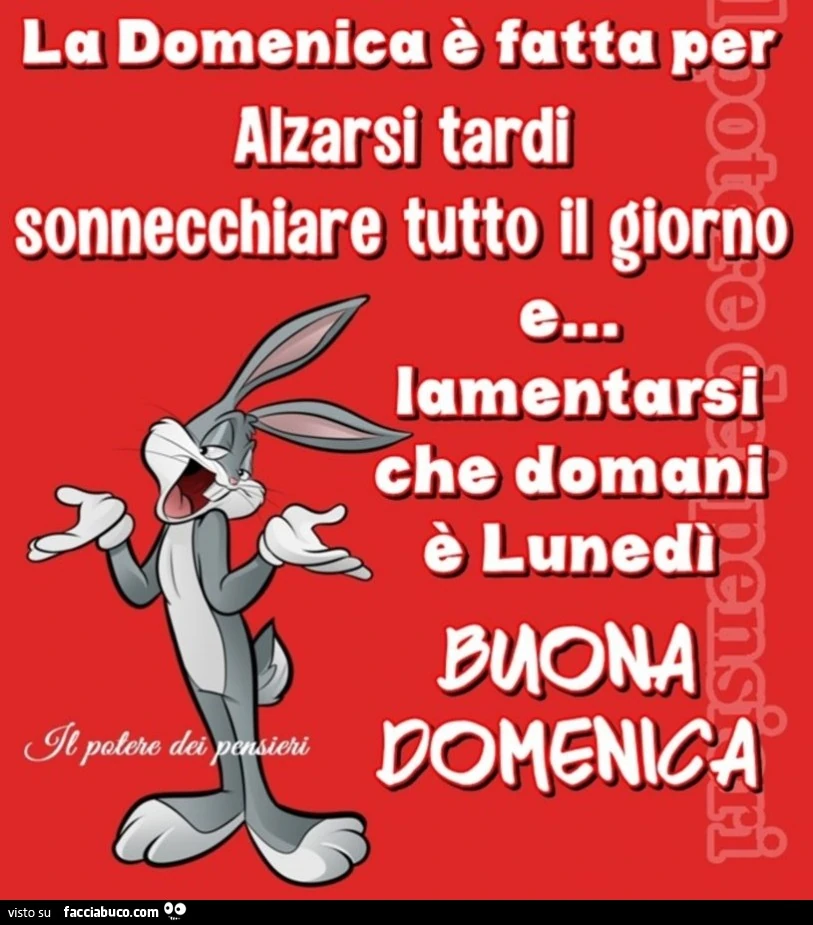 La domenica è fatta per alzarsi tardi sonnecchiare tutto il giorno lamentarsi che domani è lunedì