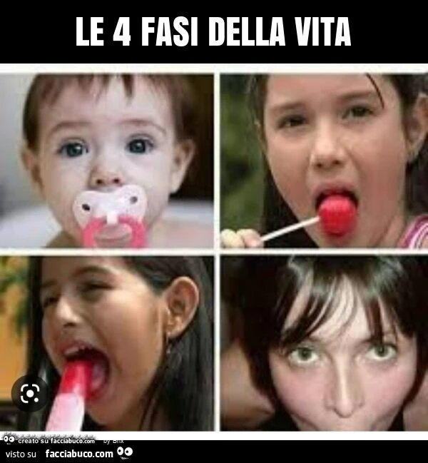 Le 4 fasi della vita