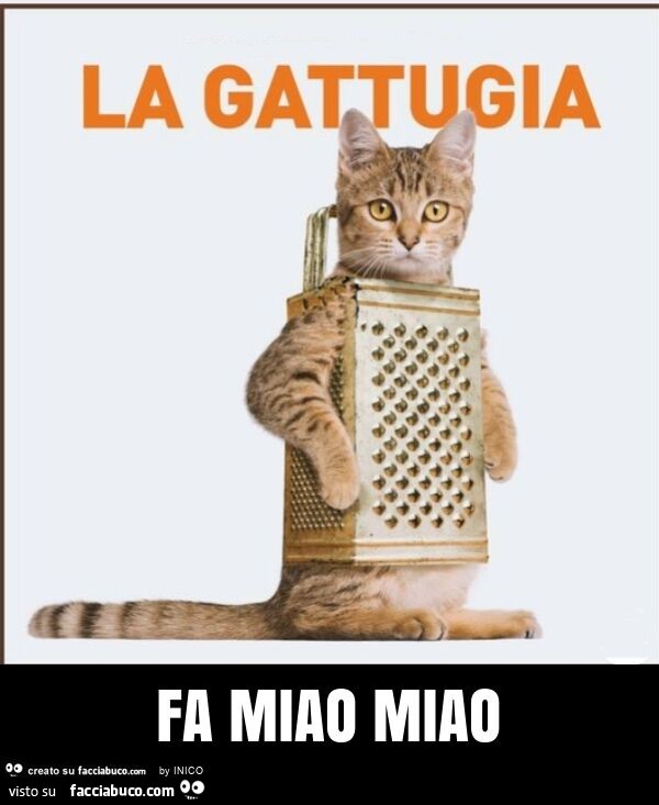 Fa miao miao