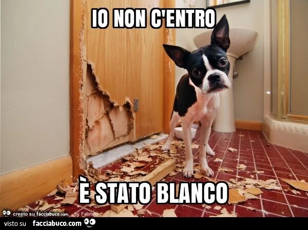 Io non c'entro è stato blanco