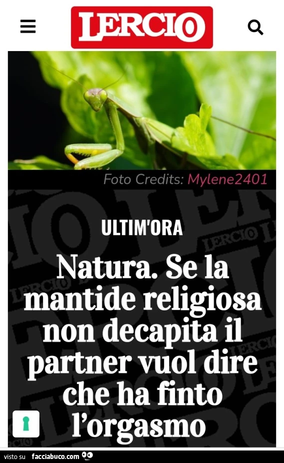 Natura se la mantide religiosa non decapitata il partner