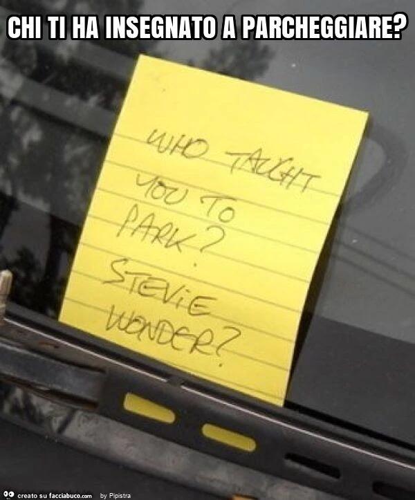 Chi ti ha insegnato a parcheggiare?