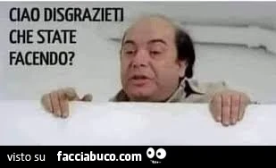 Vaccata