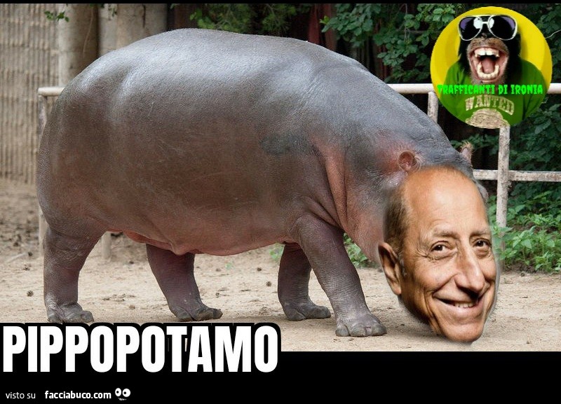 Pippopotamo