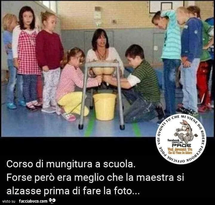 Vaccata