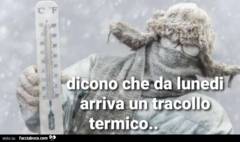 Freddo