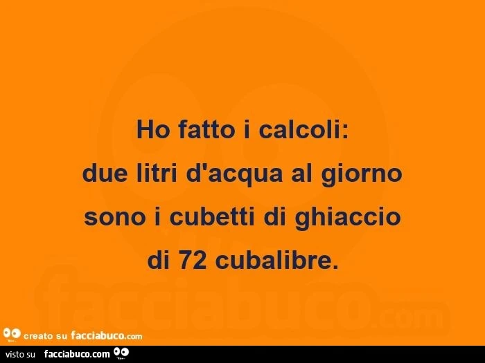 Ho fatto i calcoli: due litri d'acqua al giorno sono i cubetti di ghiaccio di 72 cubalibre