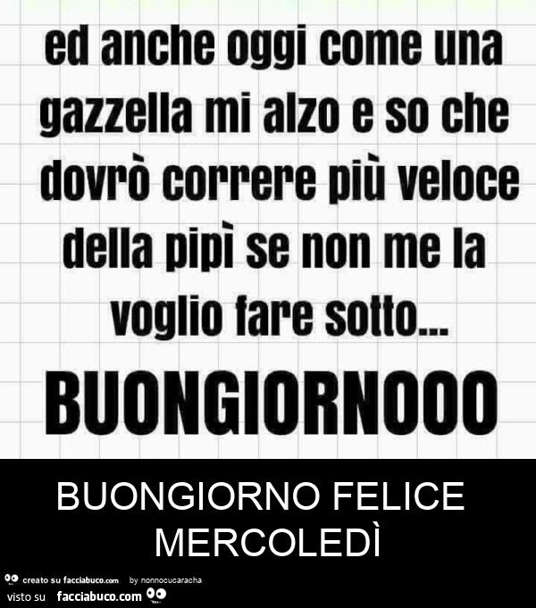 Buongiorno felice mercoledì