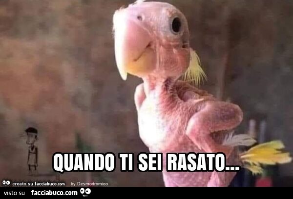 Quando ti sei rasato