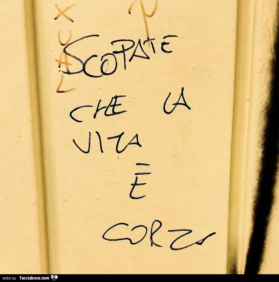 Scopa scopa