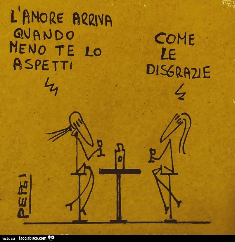 L'amore arriva quando meno te lo aspetti. Come le disgrazie