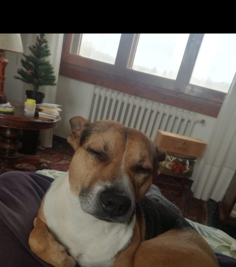 Buonanottee