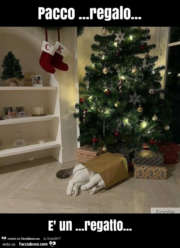 Pacco… regalo… è un… regatto