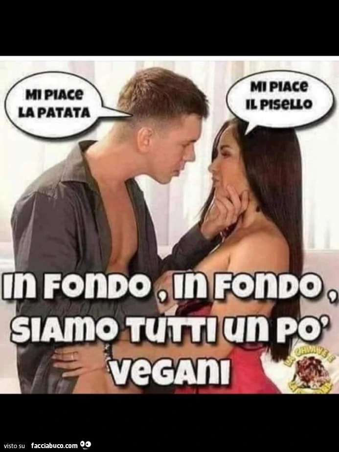 Vaccata