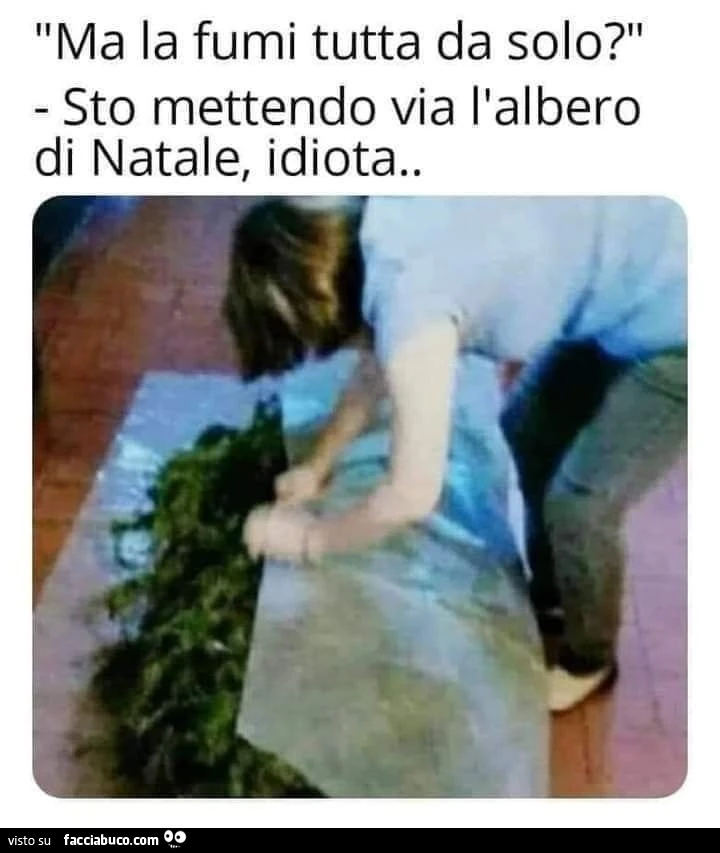 Vaccata