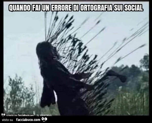 Quando fai un errore di ortografia sui social